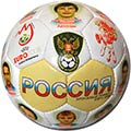 ��� ���������� ������ EURO2008